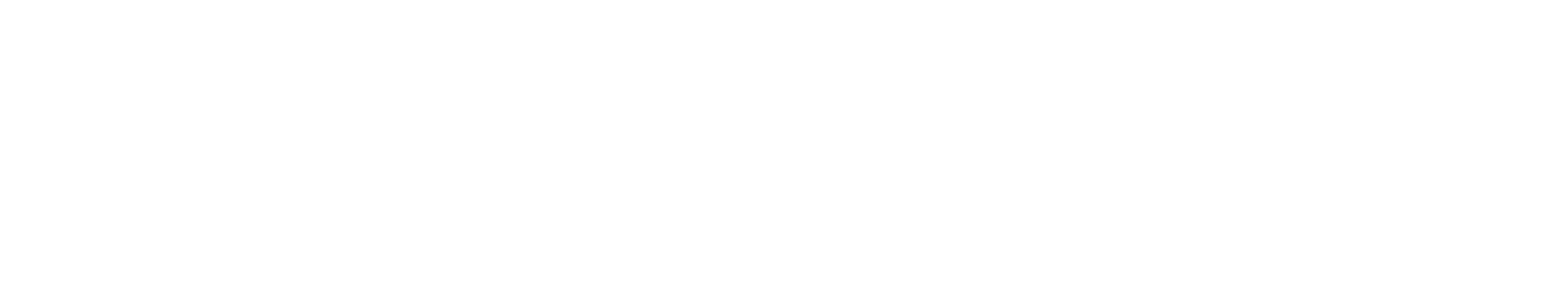 Lawyerise Client Portal logo